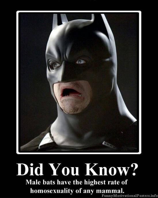 Oh Batman, why??? - Meme by evilpanda :) Memedroid
