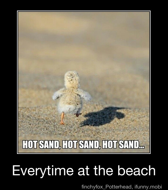 hot sand - meme