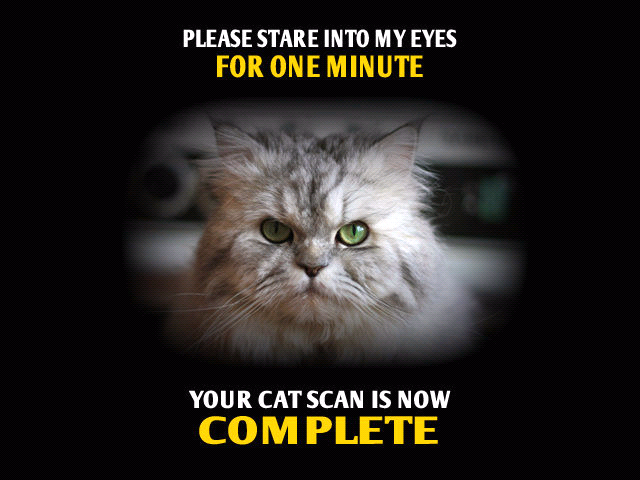 Cat Scan - meme