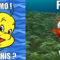 Trolling Nemo