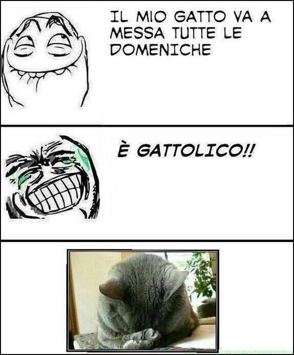 Gatto !! - meme