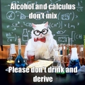 calculus cat