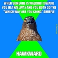 hawkward shuffle