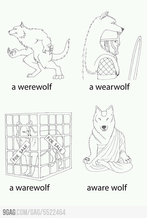 wolf - meme