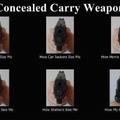 Gun control: Using both hands