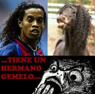 hermano gemelo - meme