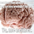 scumbag brain