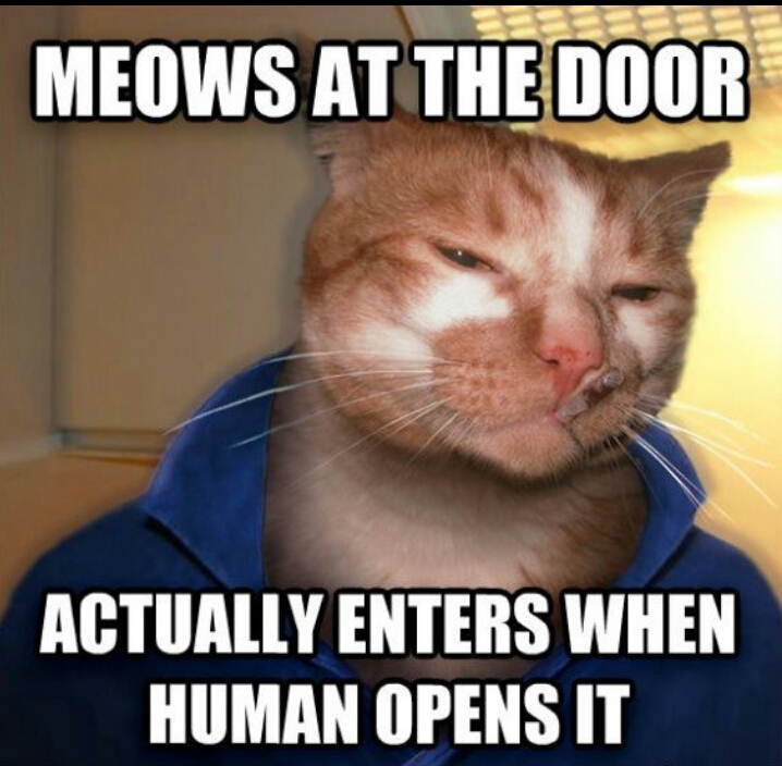 When i enter. When i enter. Correct the mistakes. Where sentences. When i enter.