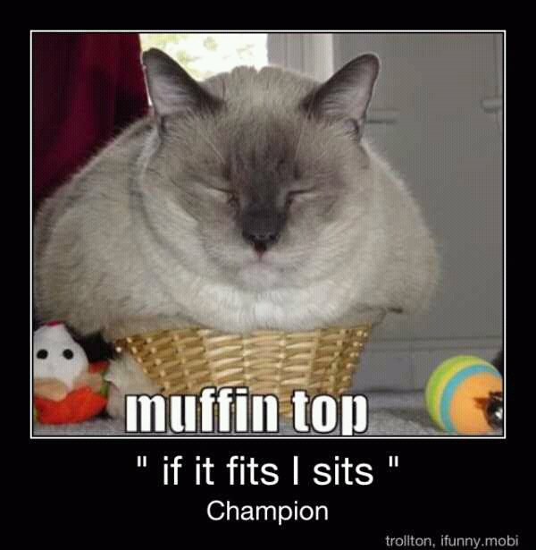 muffin top - meme