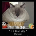 muffin top