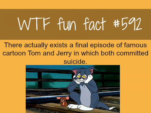 WTF Fun Fact - meme