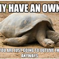 Sad Turtle is sad :(