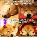 much doge. very wow