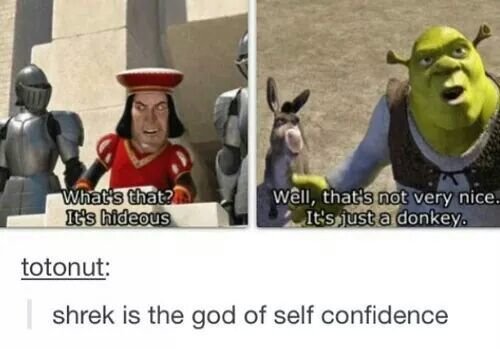 Shrek and Donkay - meme
