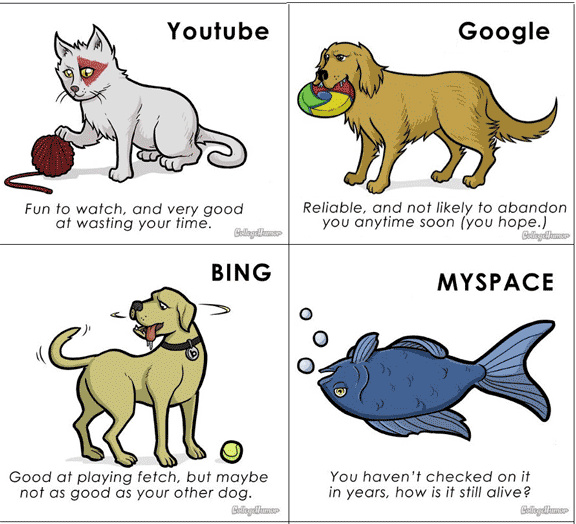 Internet Jokes + Pets = profit - meme