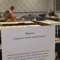 engineering :(