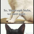 Hitler & Staline cat