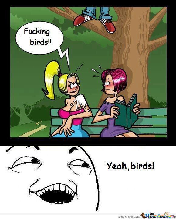 birds - meme