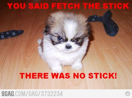 stick - meme