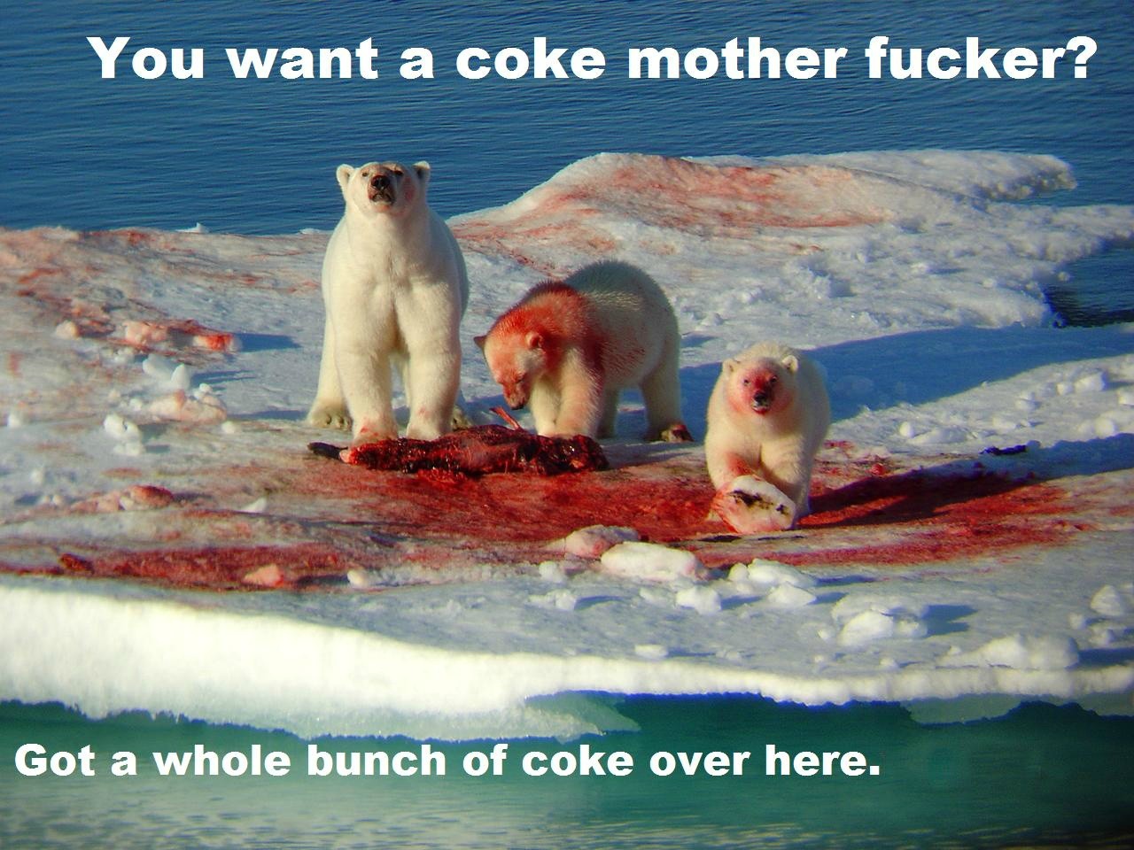 always coca cola - meme
