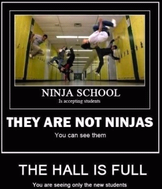 Ninjas - meme