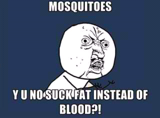 Mosquitos! - meme