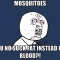 Mosquitos!