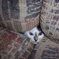 they will never find me here :)