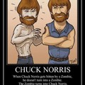Chuck Norris as usual