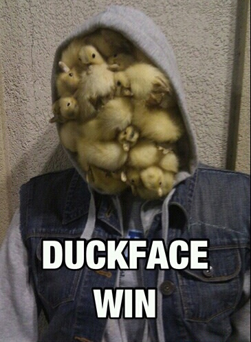 Duckface - meme