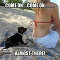 Come on doggy!
