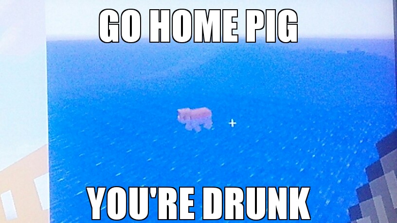 Have you been drinking tonight?? - meme