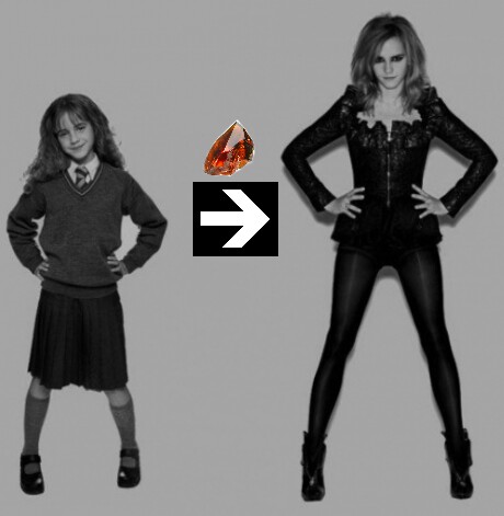 Hermione is Evolving! - meme