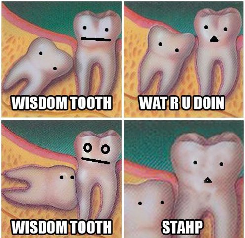 Tooth Stahp - meme