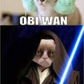 i'm Not Obi Wan, I'm Grumpy Vader!