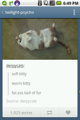 Fat ass ball of fur - meme