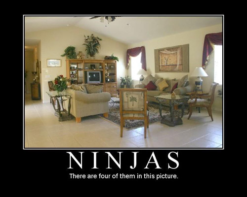 ninjas - meme