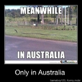 Only in australia