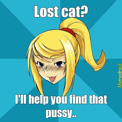 Lost cat? - meme