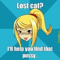 Lost cat?