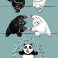 ecco come nasce il panda