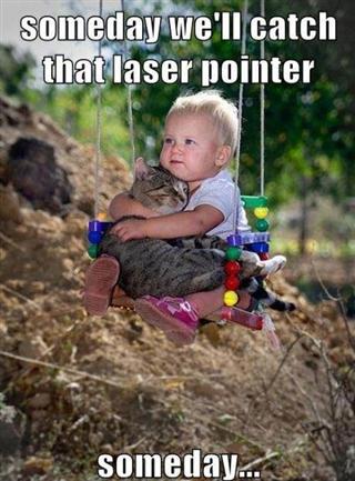 Laser pointer - meme