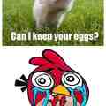can i keep your eggs?