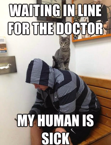 Doctor! - meme