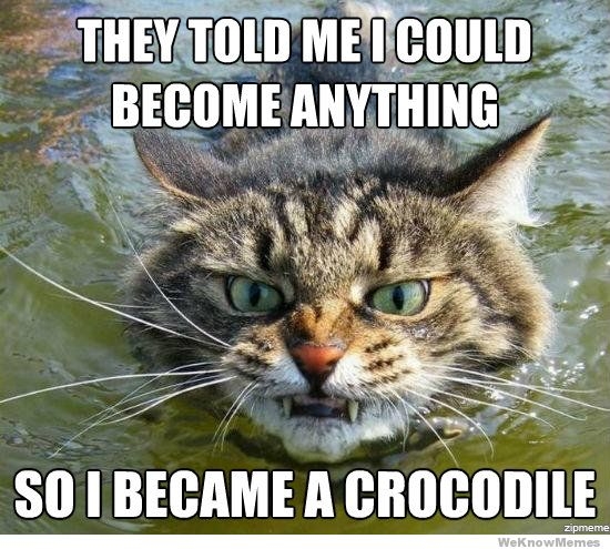 Kitty croc - meme