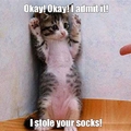 I stole your socks!