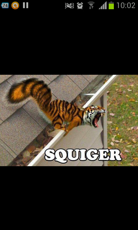 I love squigers... - meme