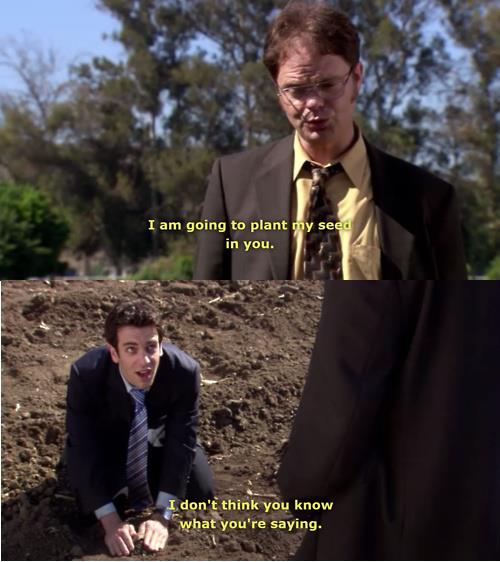 Dwight lol - meme