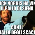 Chuck Norris II