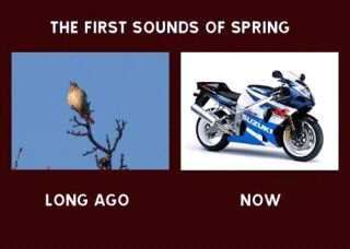 Spring - meme